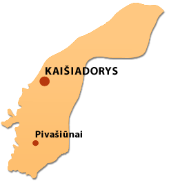 Į Kaišiadorių vyskupijos svetainę